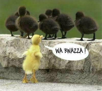 hay hay 3la omlitta mhayhha